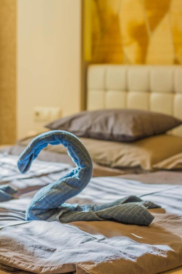 Chain Bridge Studio Apartment بودابست المظهر الخارجي الصورة